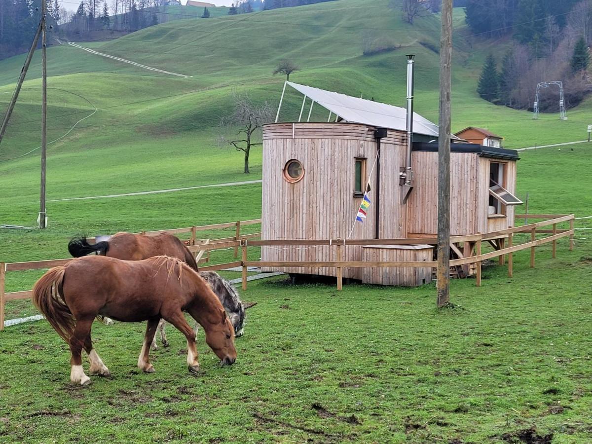 Beaver Creek Ranch Rothenthurm Zewnętrze zdjęcie